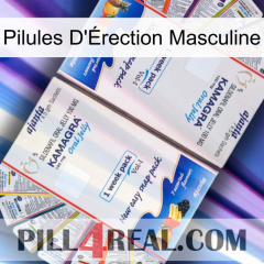 Male Erection Pills kamagra1